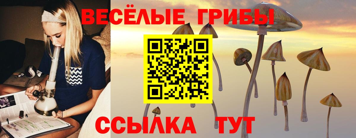 Псилоцибиновые грибы Psilocybine cubensis  Вход с VPN  Дмитров 